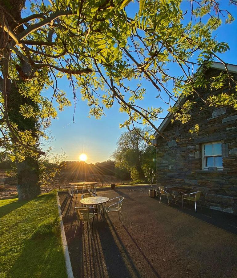 Bailey'S Court, Guest Accommodation Портадаун Екстериор снимка